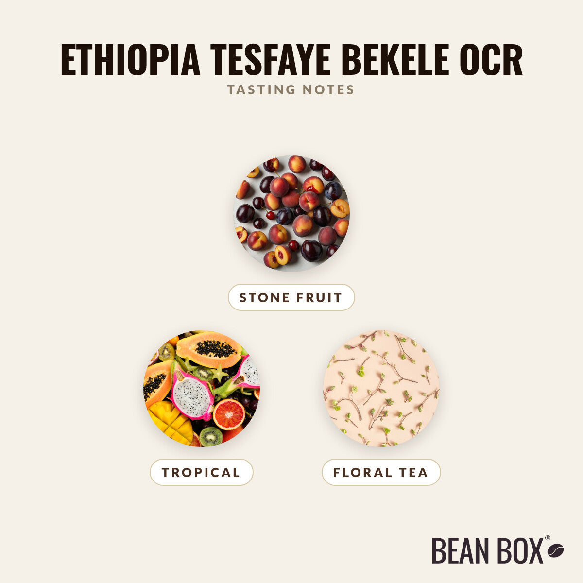 Ethiopia Tesfaye Bekele OCR