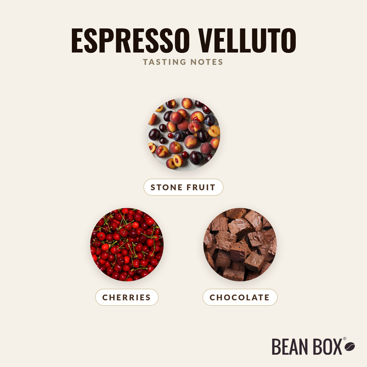 Espresso Velluto