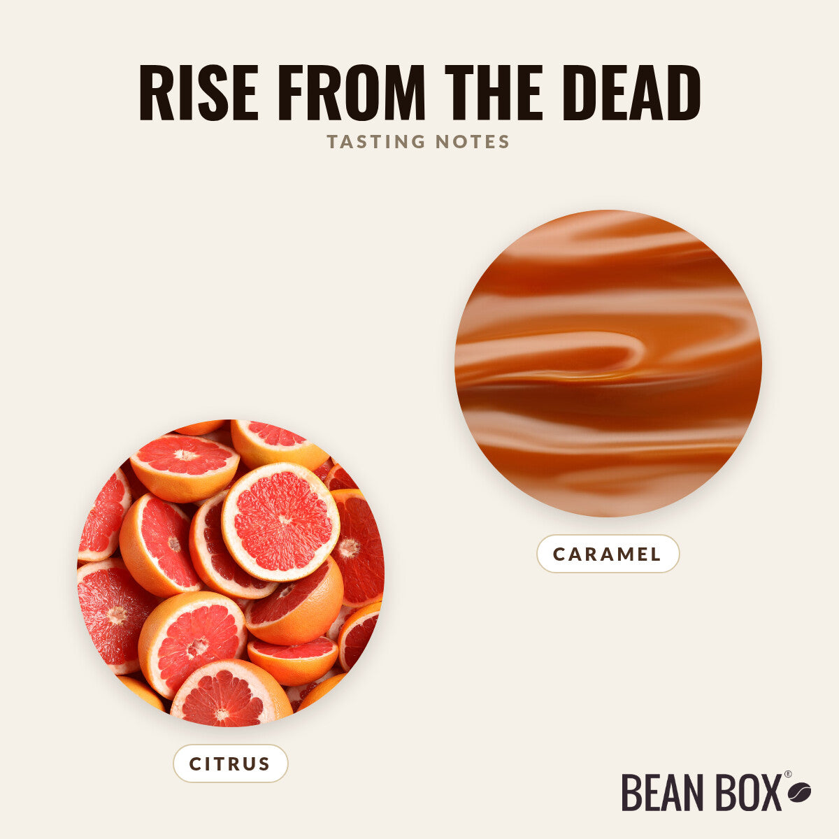 Rise from the Dead