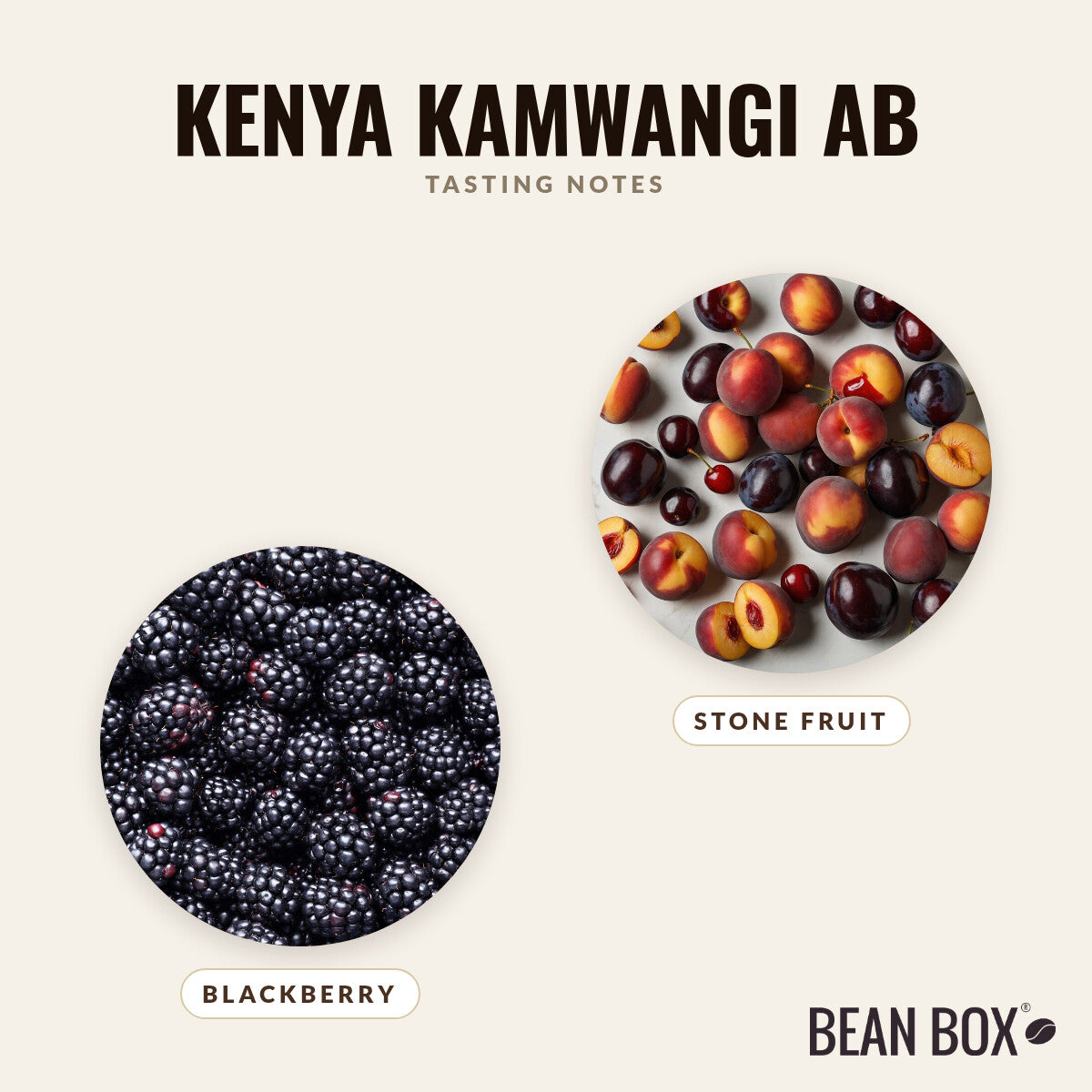 Kenya Kamwangi AB