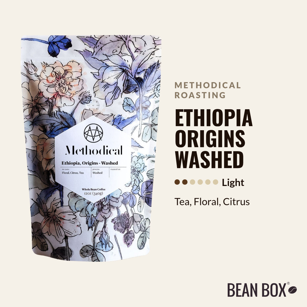 Ethiopia Origins Washed