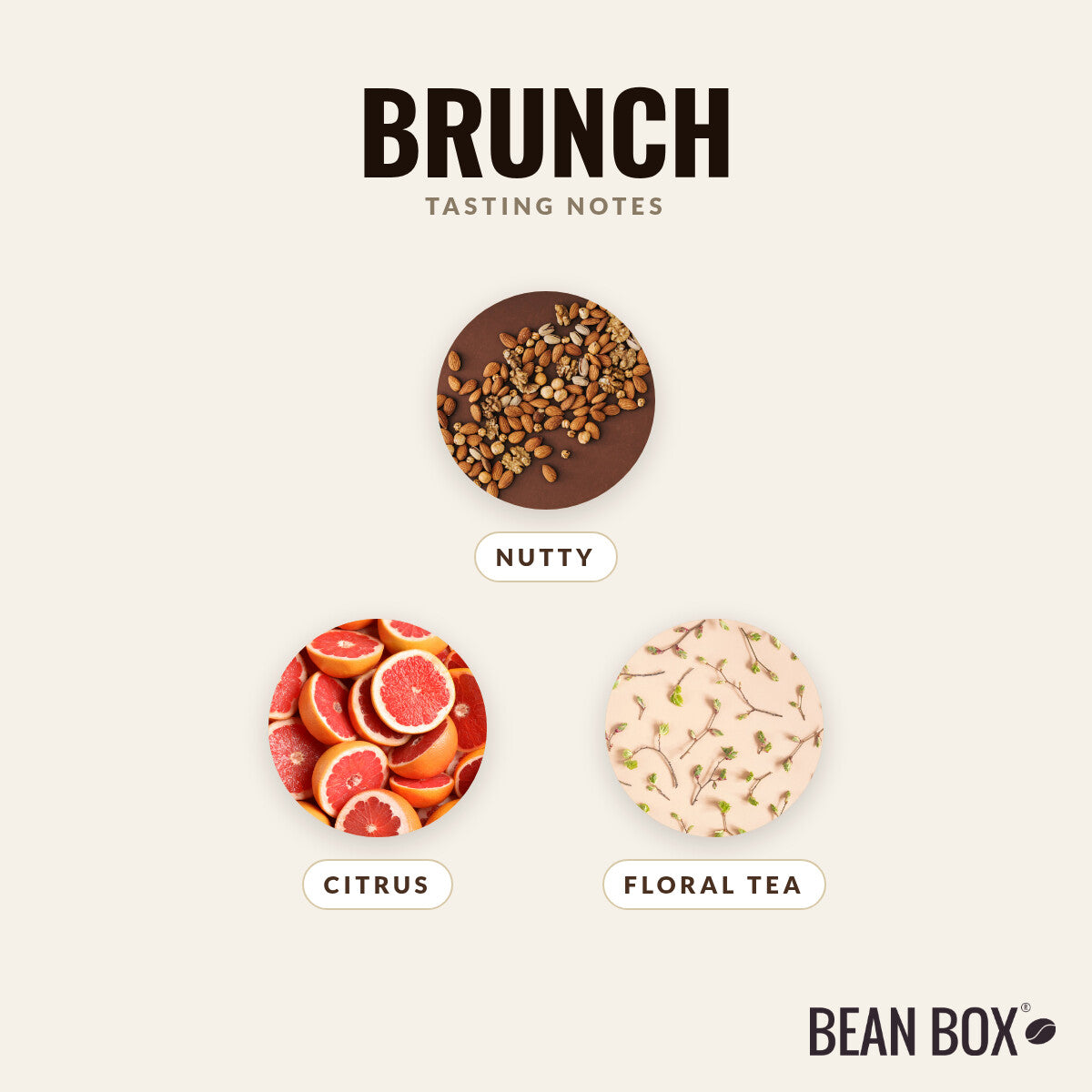 Brunch