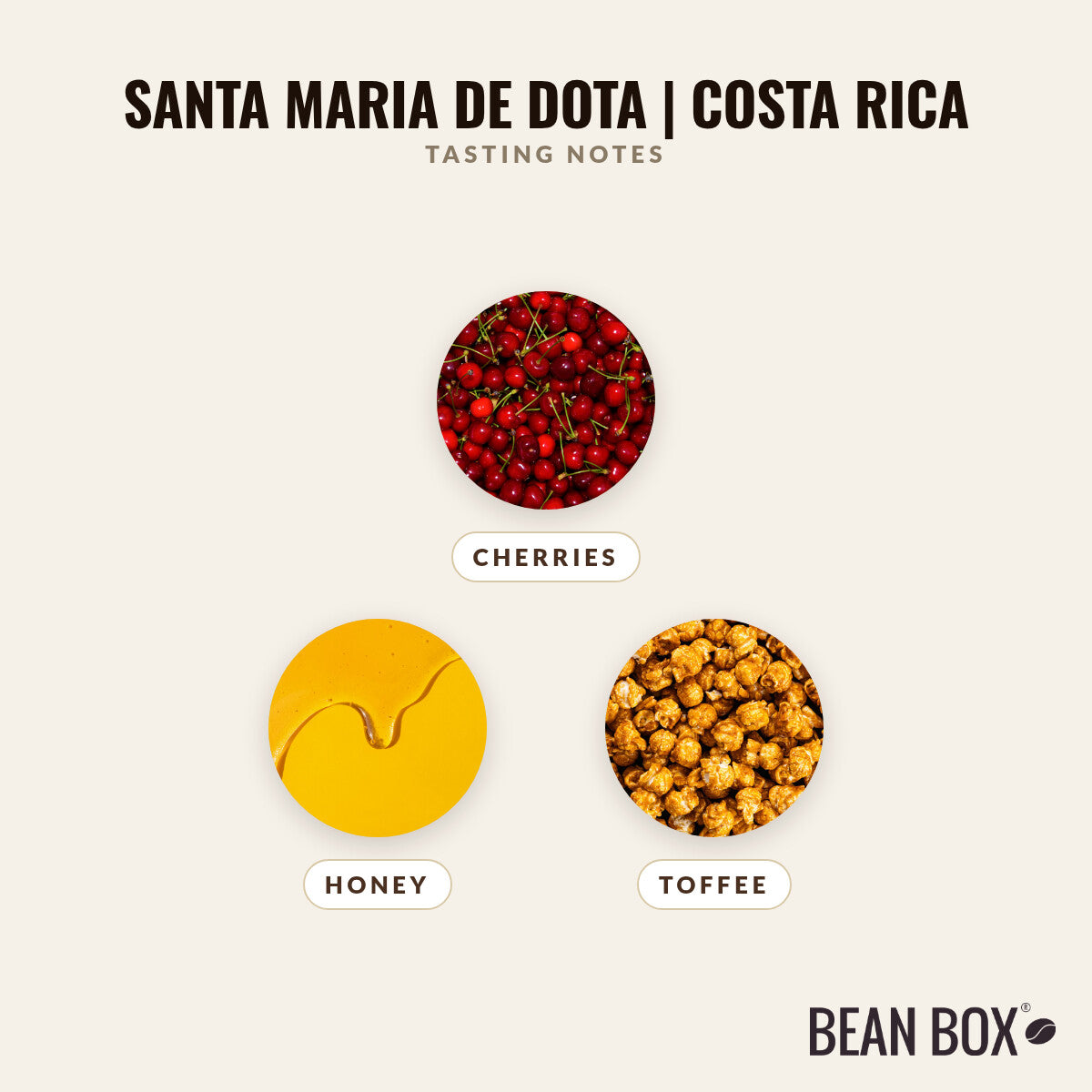 Santa Maria De Dota | Costa Rica