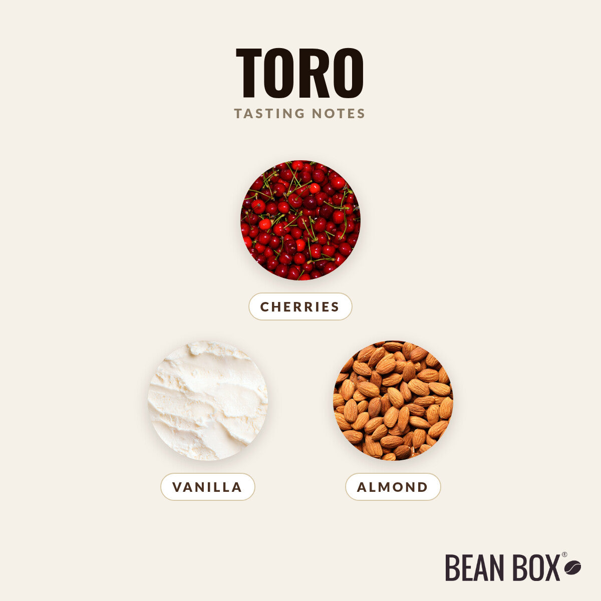 Toro