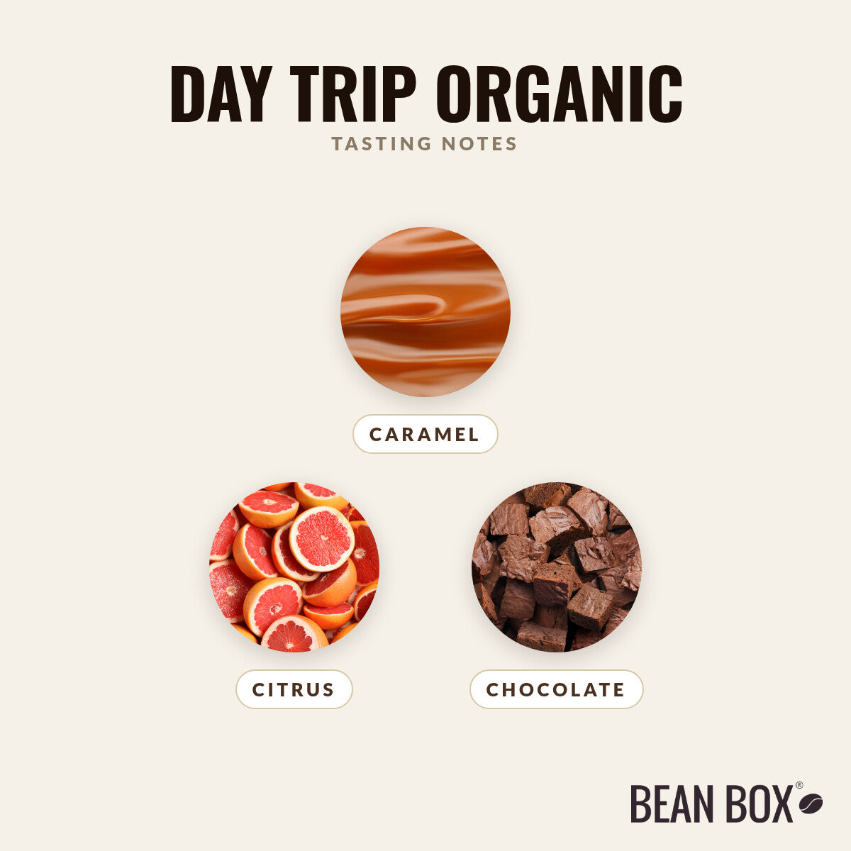 Day Trip Organic