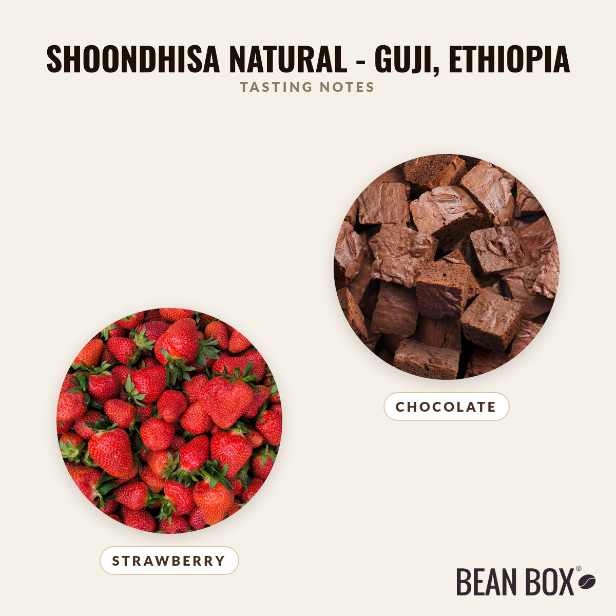 Shoondhisa Natural - Guji, Ethiopia