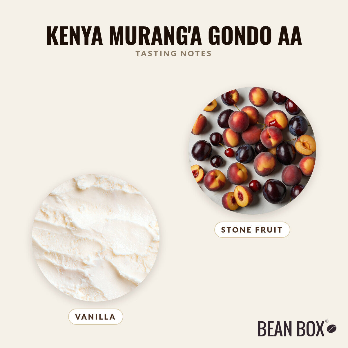 Kenya Murang'a Gondo AA