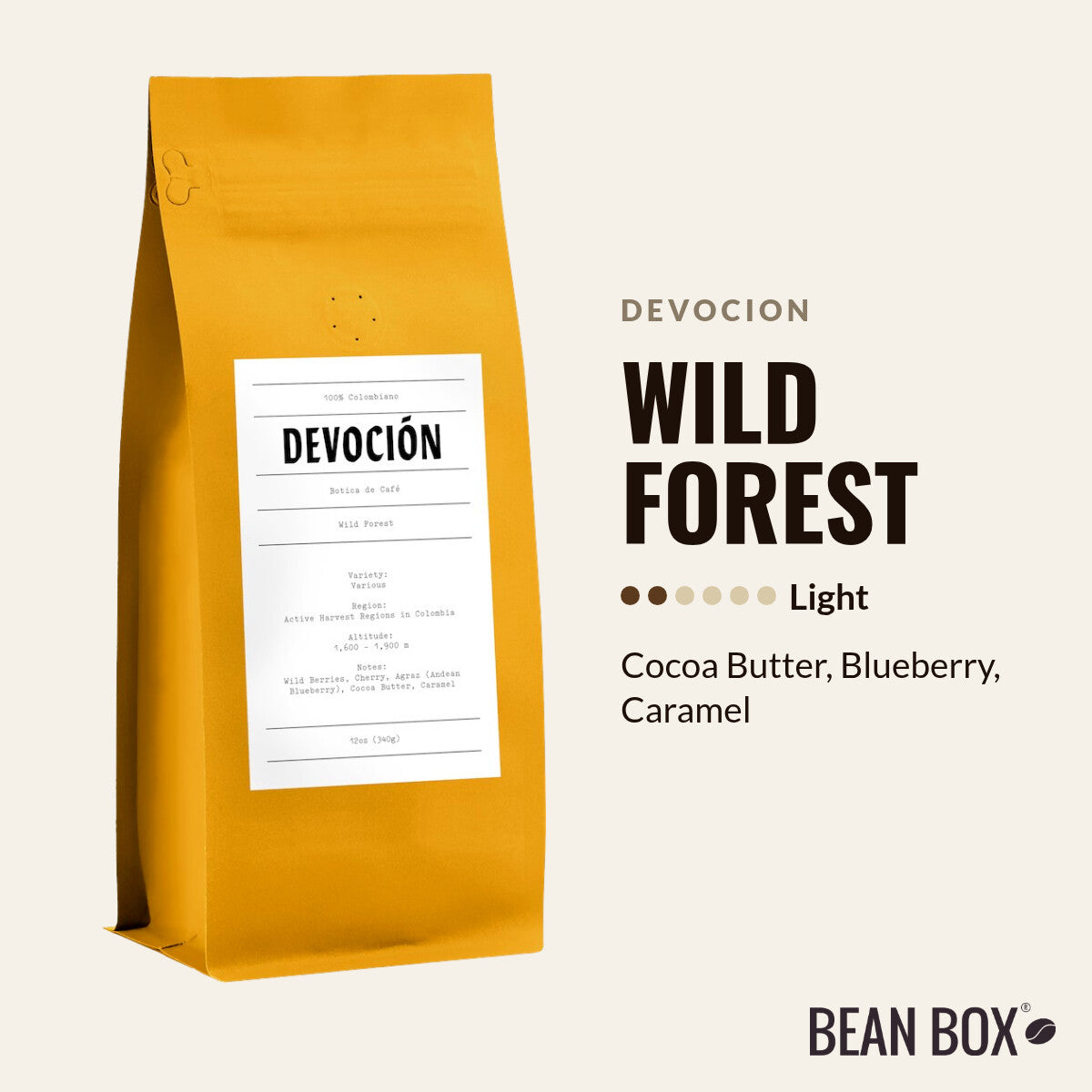 Wild Forest