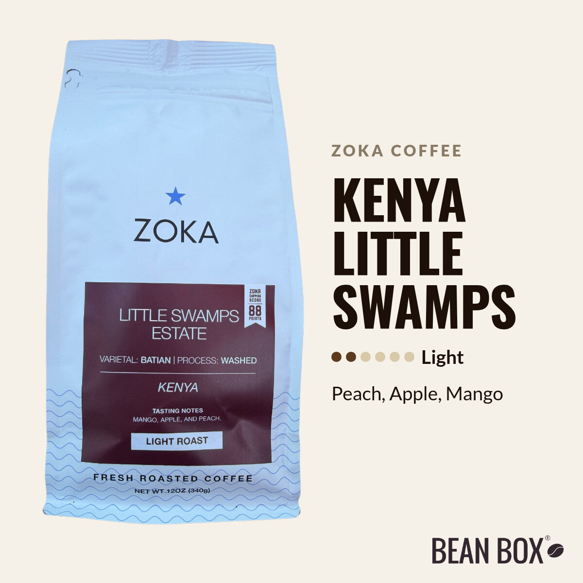 Kenya Little Swamps