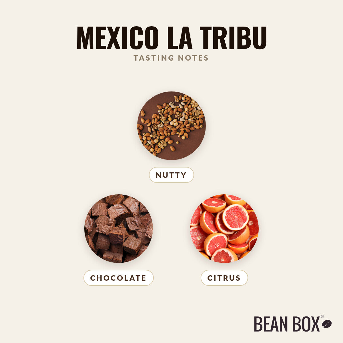 Mexico La Tribu