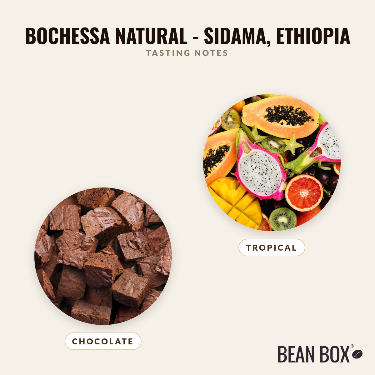 Bochessa Natural - Sidama, Ethiopia