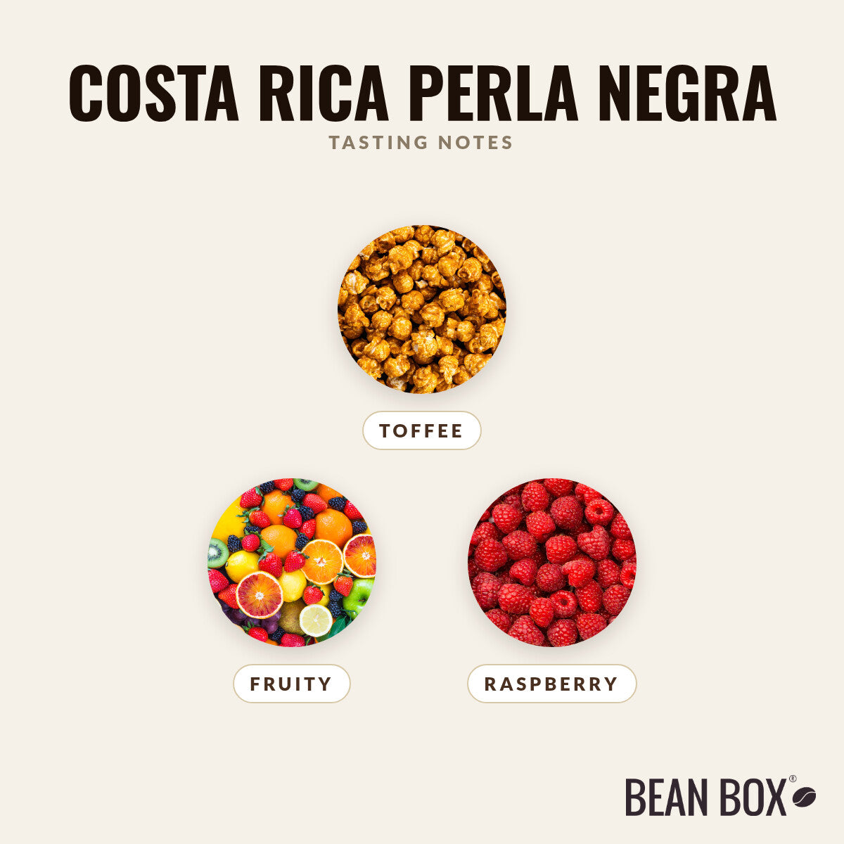 Costa Rica Perla Negra