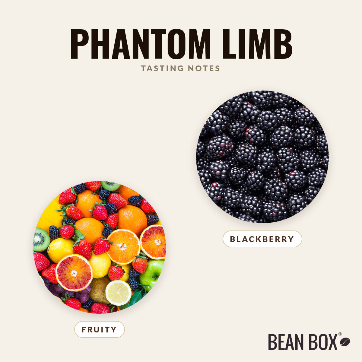 Phantom Limb