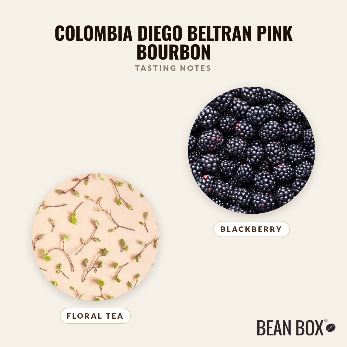 Colombia Diego Beltran Pink Bourbon