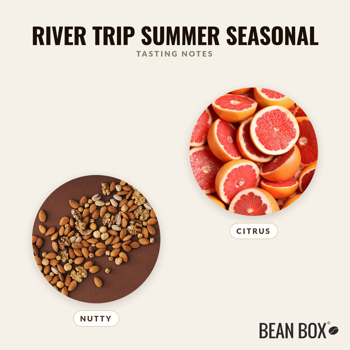 River Trip Summer Seasonal