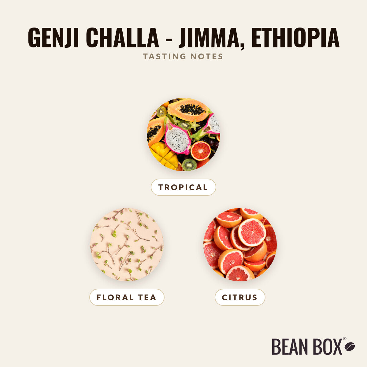 Genji Challa - Jimma, Ethiopia