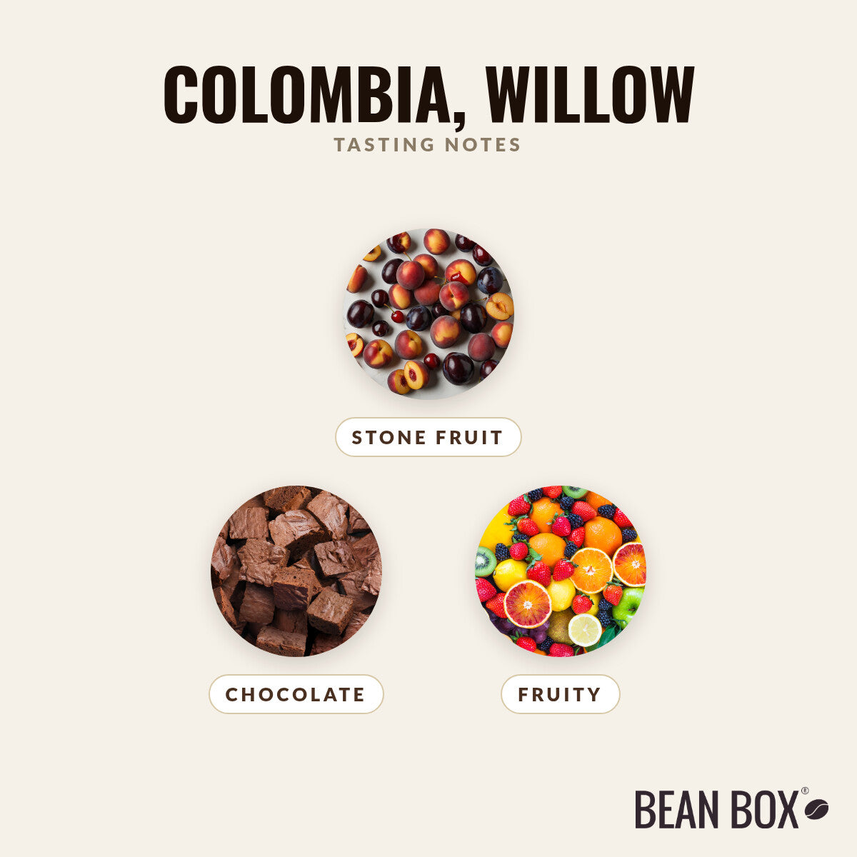 Colombia, Willow
