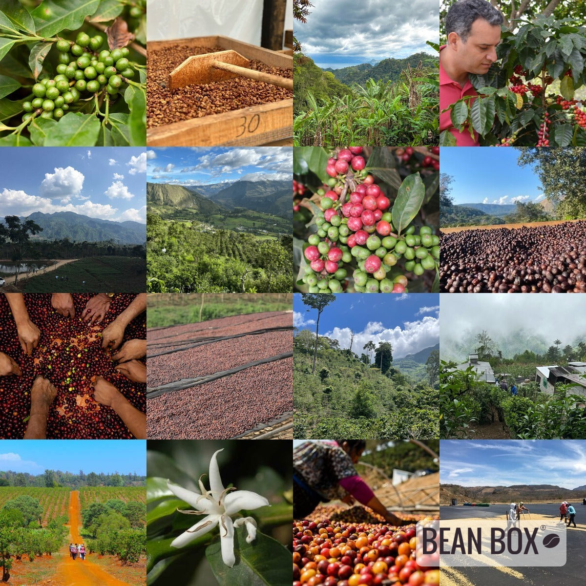 Rwanda Karemano Dark Roast