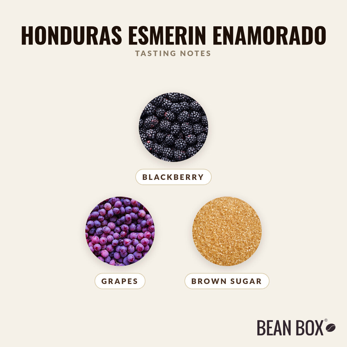 Honduras Esmerin Enamorado
