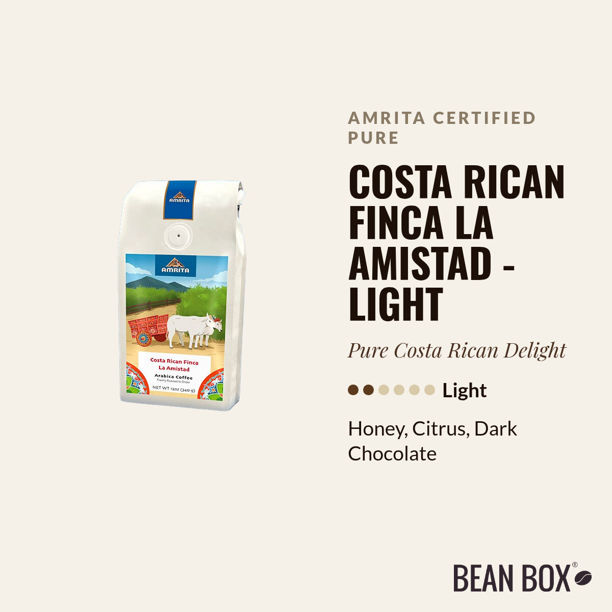 Costa Rican Finca La Amistad - Light