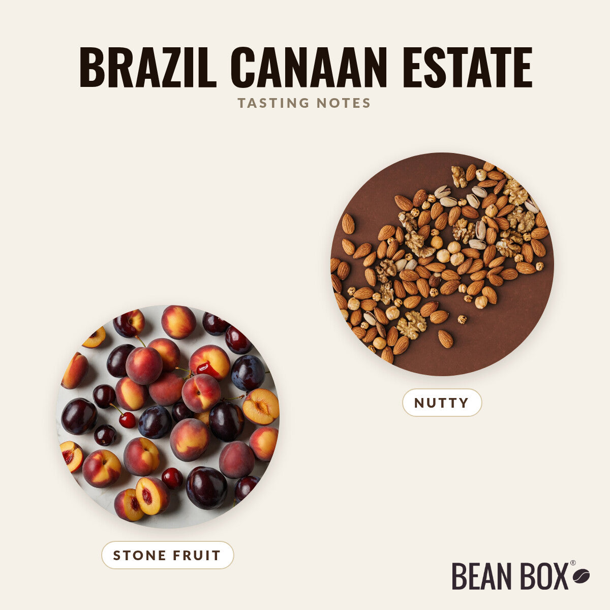 Brazil Canaan Estate