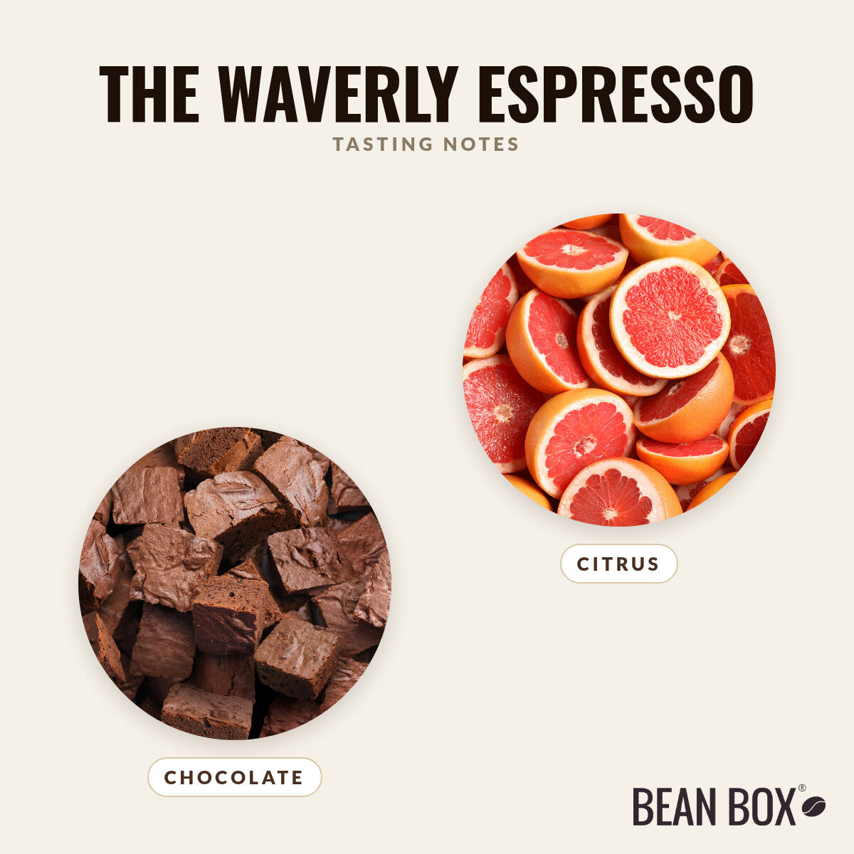 The Waverly Espresso