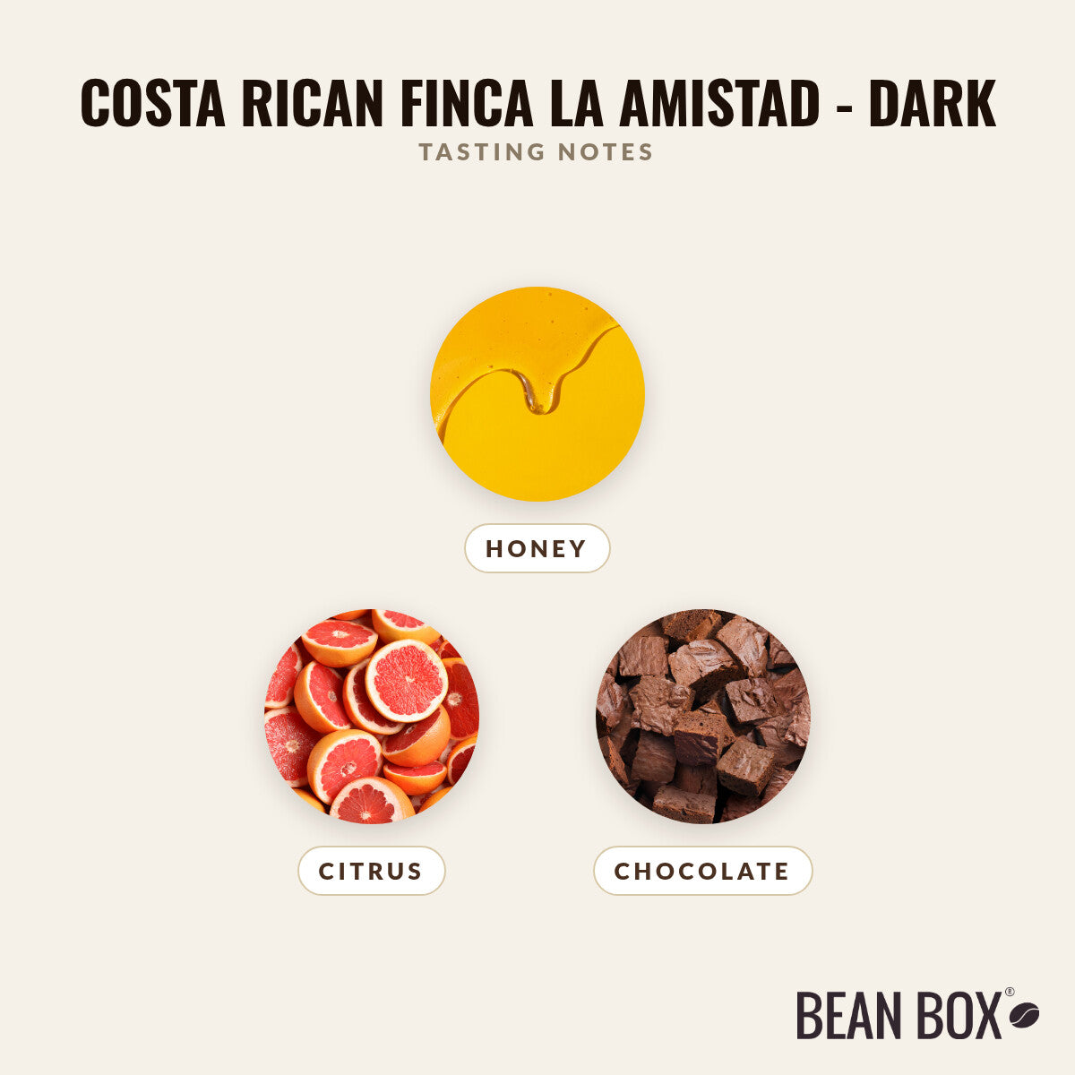 Costa Rican Finca La Amistad - Dark