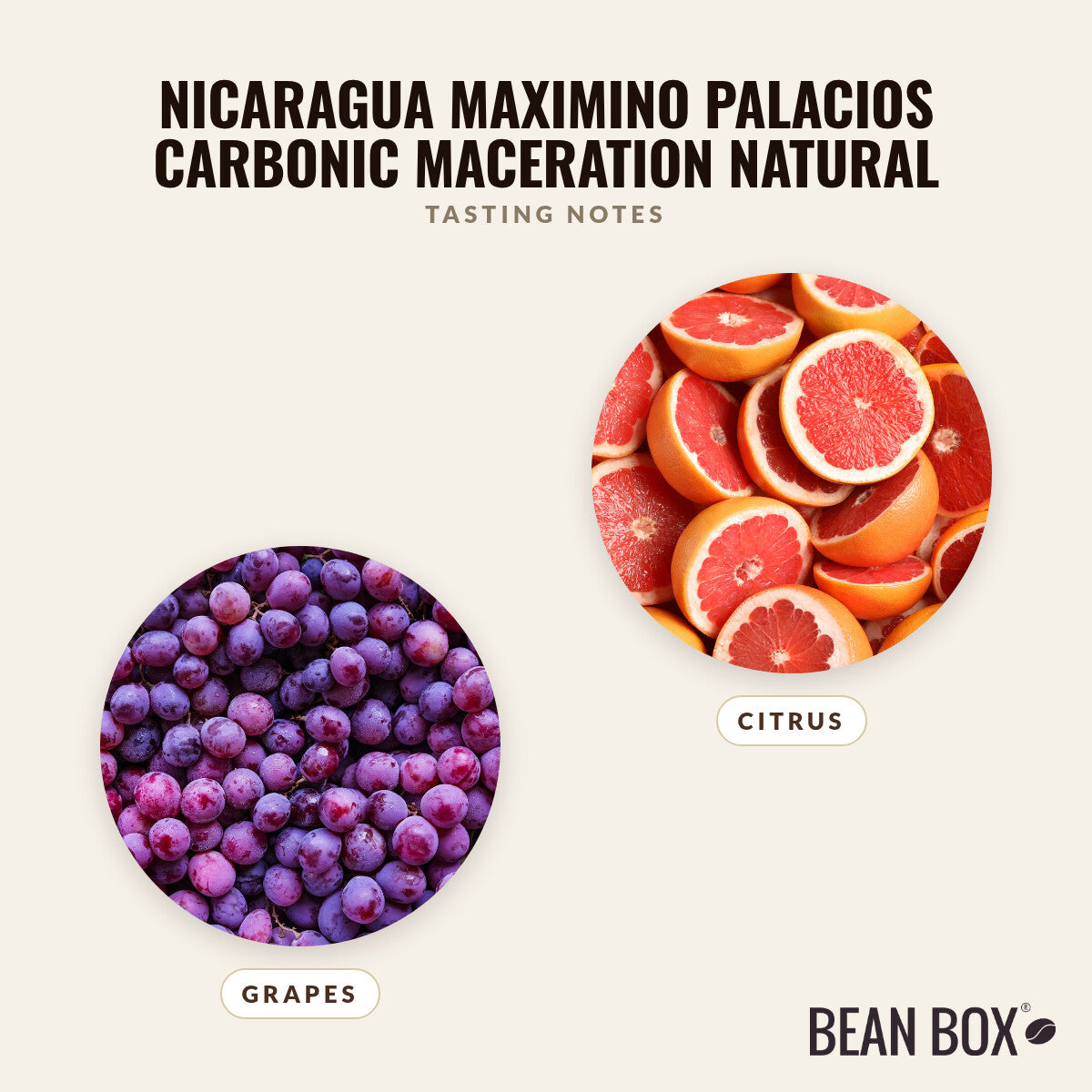Nicaragua Maximino Palacios Carbonic Maceration Natural