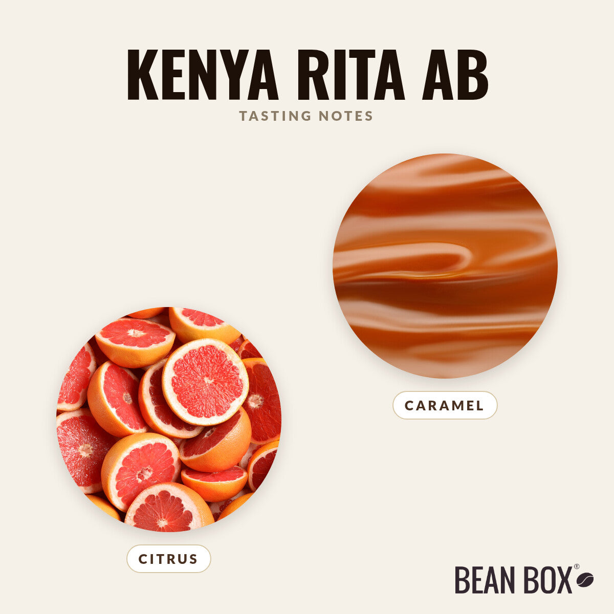 Kenya Rita AB