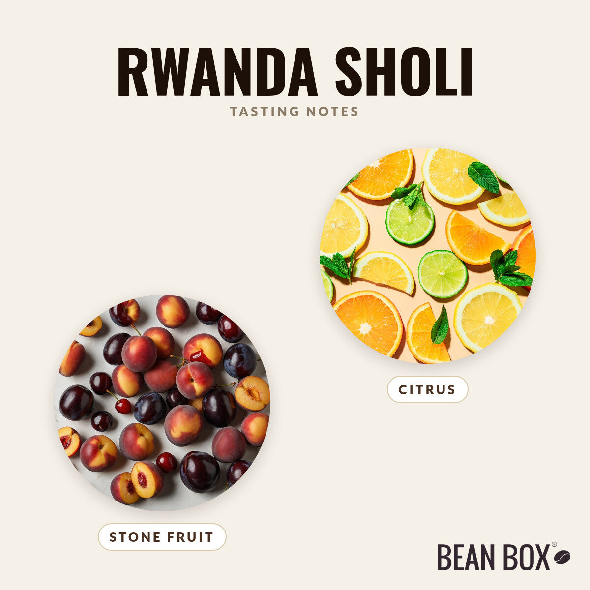 Rwanda Sholi 