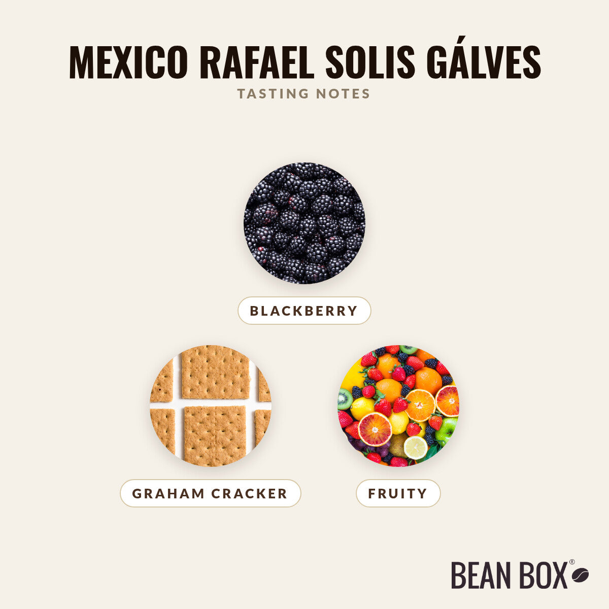 Mexico Rafael Solis Gálves