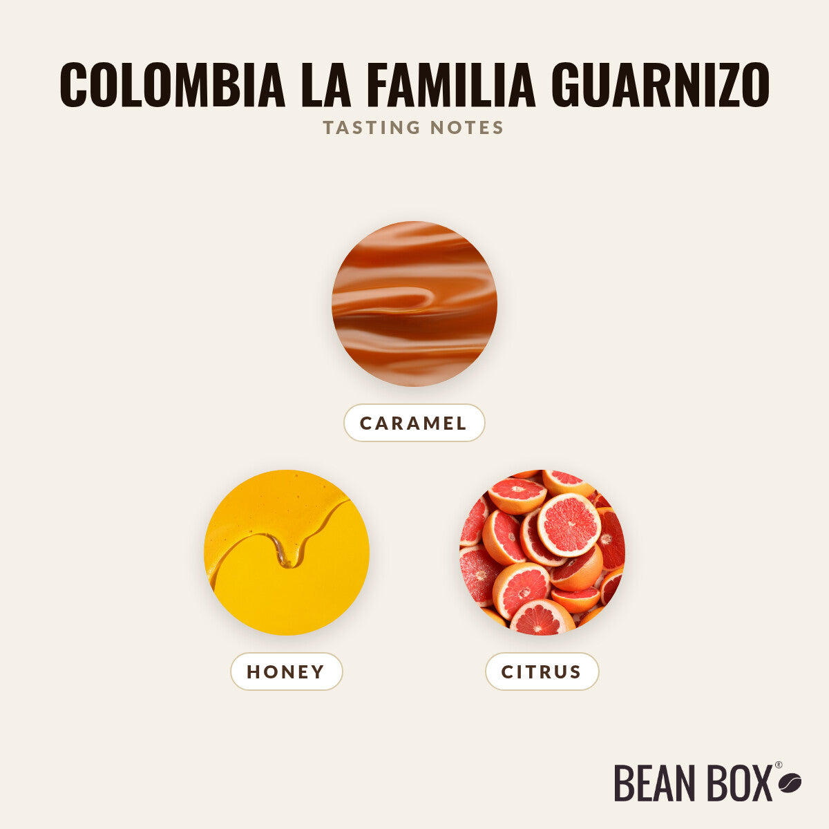 Colombia La Familia Guarnizo