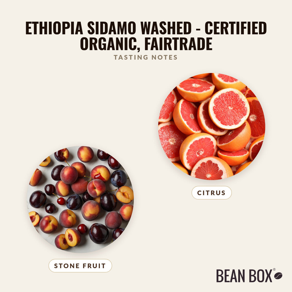 Ethiopia Sidamo Washed - Certified Organic, Fairtrade