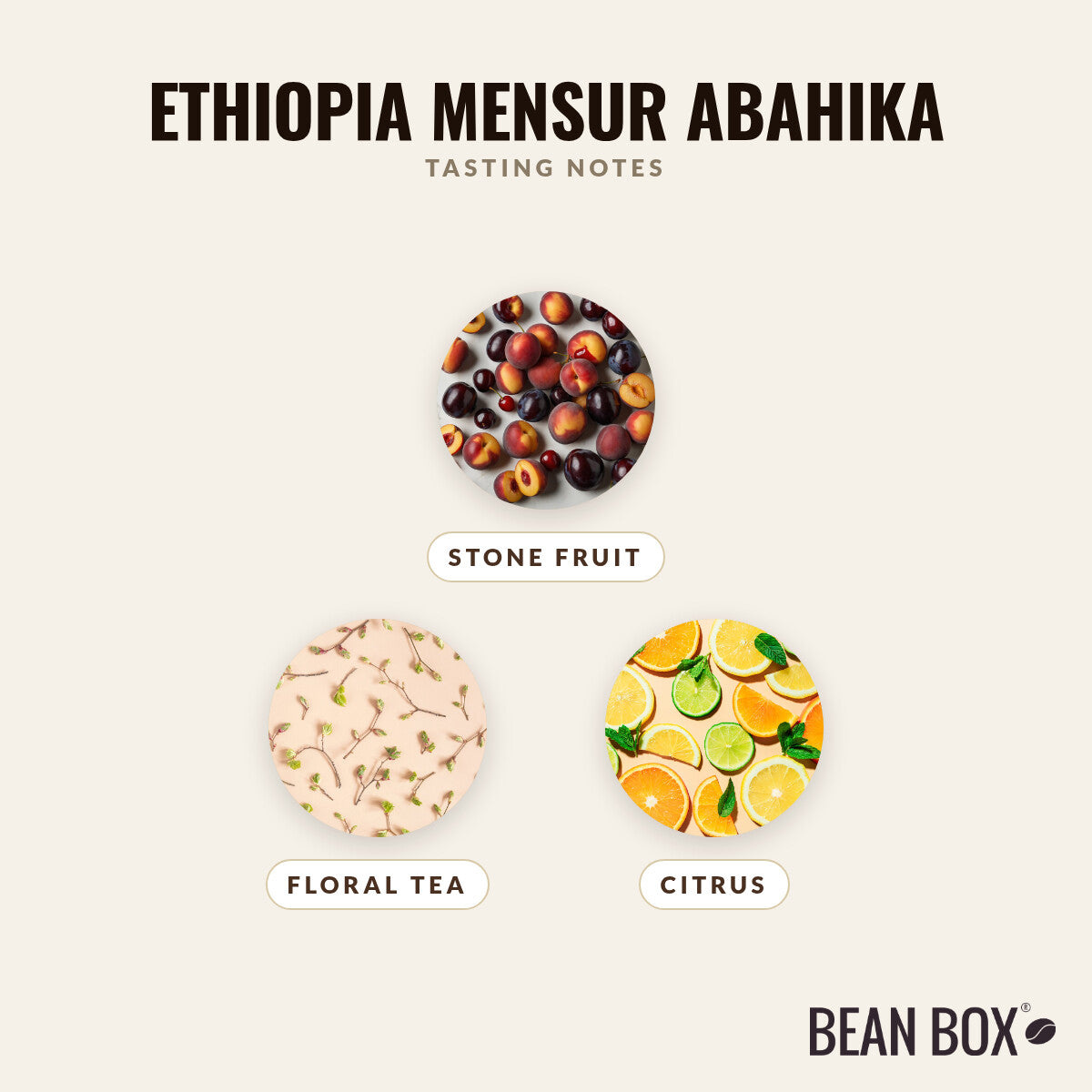 Ethiopia Mensur Abahika