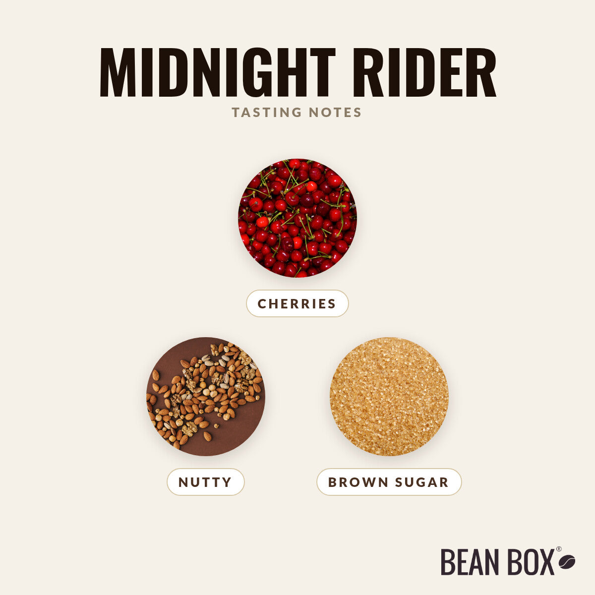 Midnight Rider