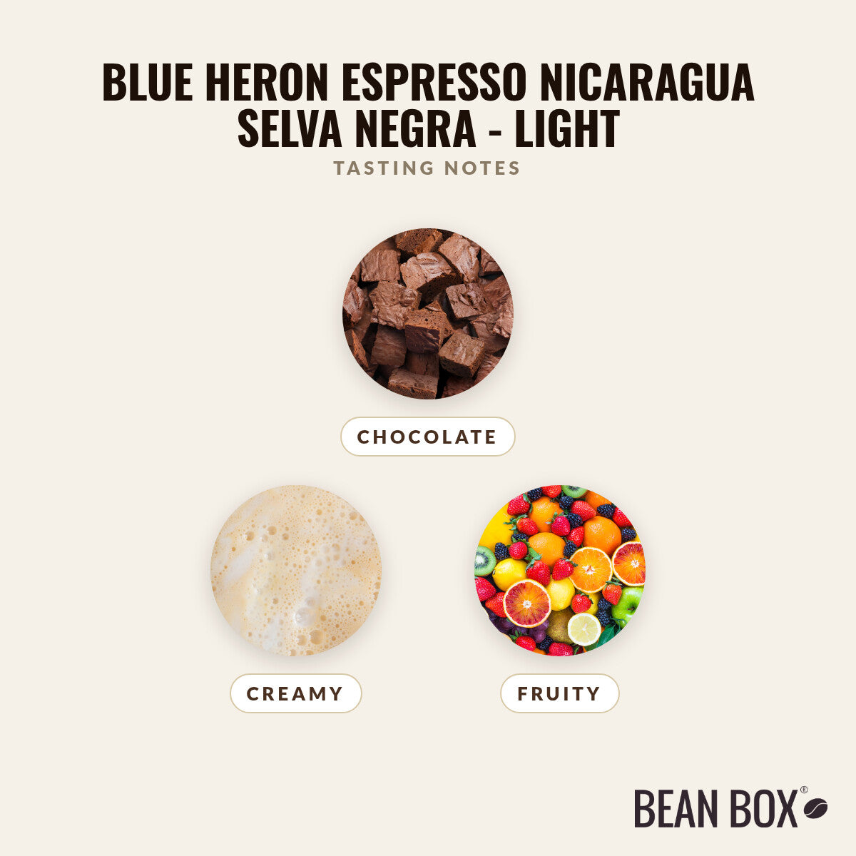 Blue Heron Espresso Nicaragua Selva Negra - Light