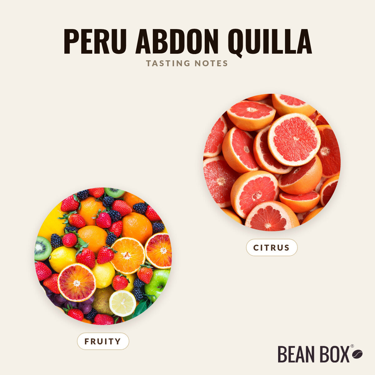 Peru Abdon Quilla