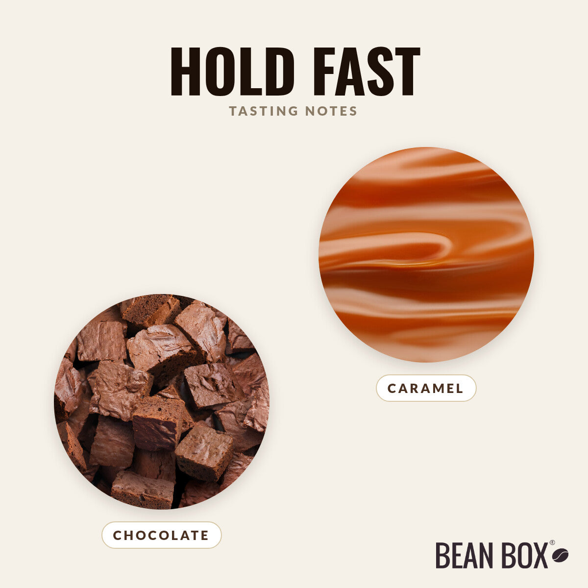 Hold Fast