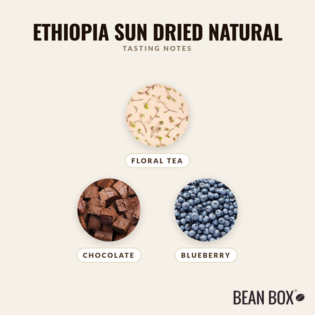 Ethiopia Sun Dried Natural