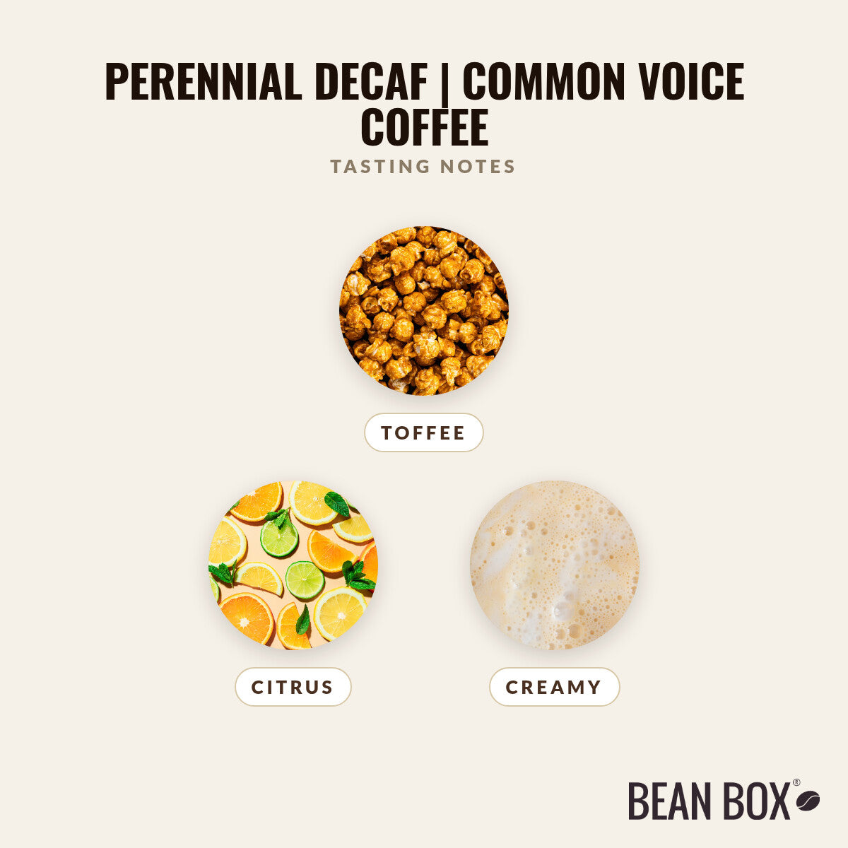 Perennial Decaf | Common Voice Coffee