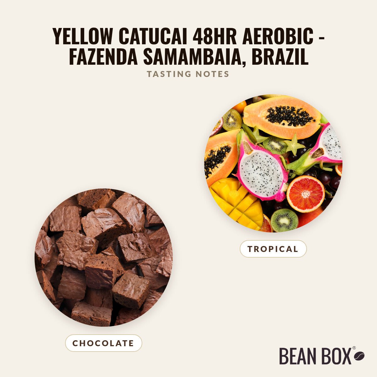 Yellow Catucai 48hr Aerobic - Fazenda Samambaia, Brazil