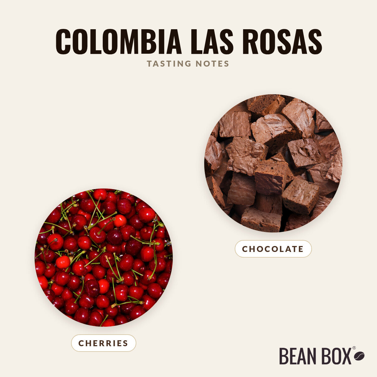 Colombia Las Rosas