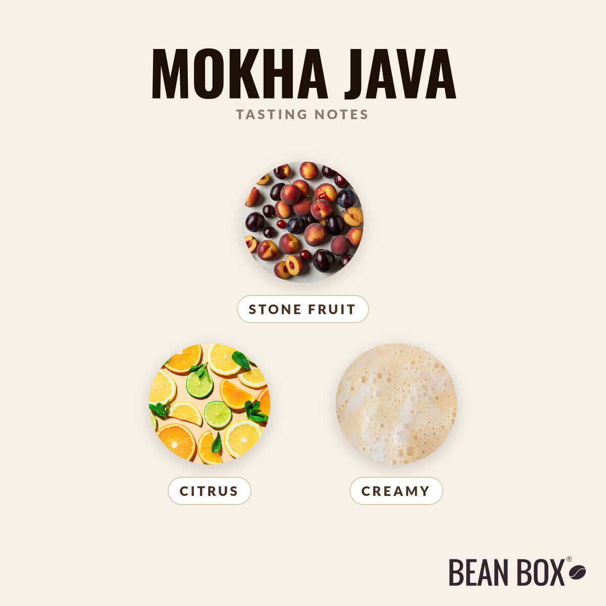 Mokha Java