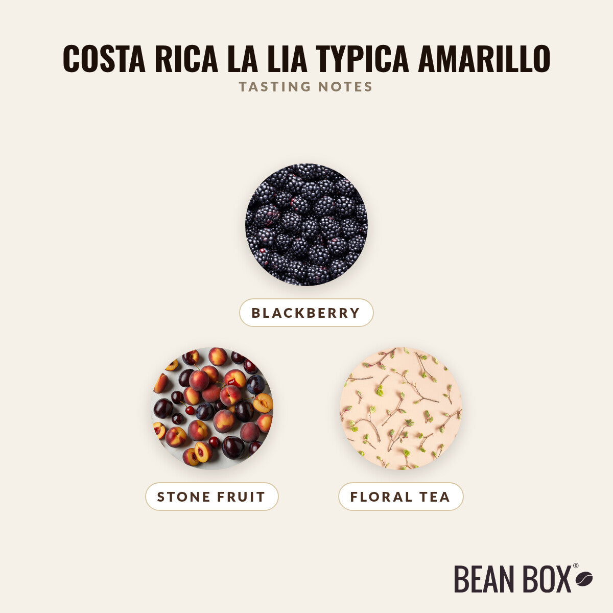 Costa Rica La Lia Typica Amarillo