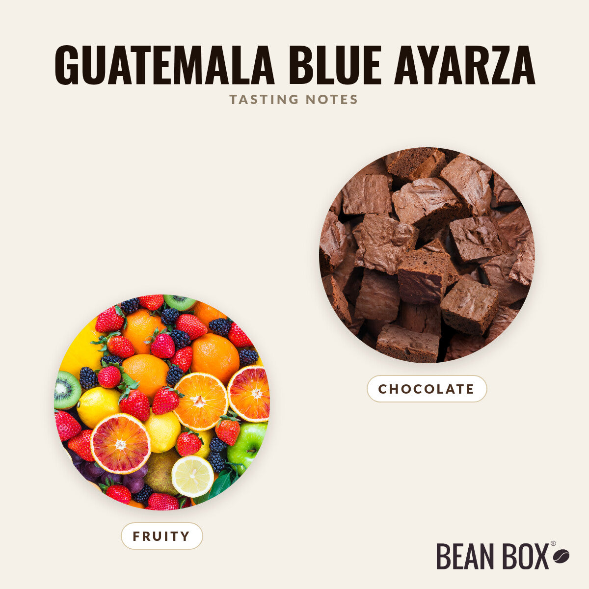 Guatemala Blue Ayarza