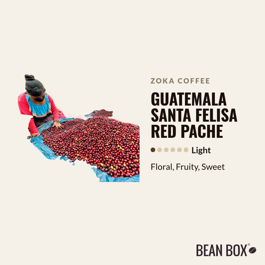 Guatemala Santa Felisa Red Pache