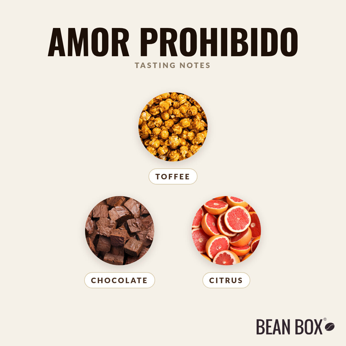 Amor Prohibido