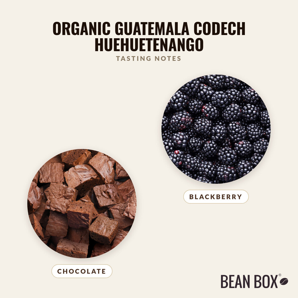 Organic Guatemala Codech Huehuetenango