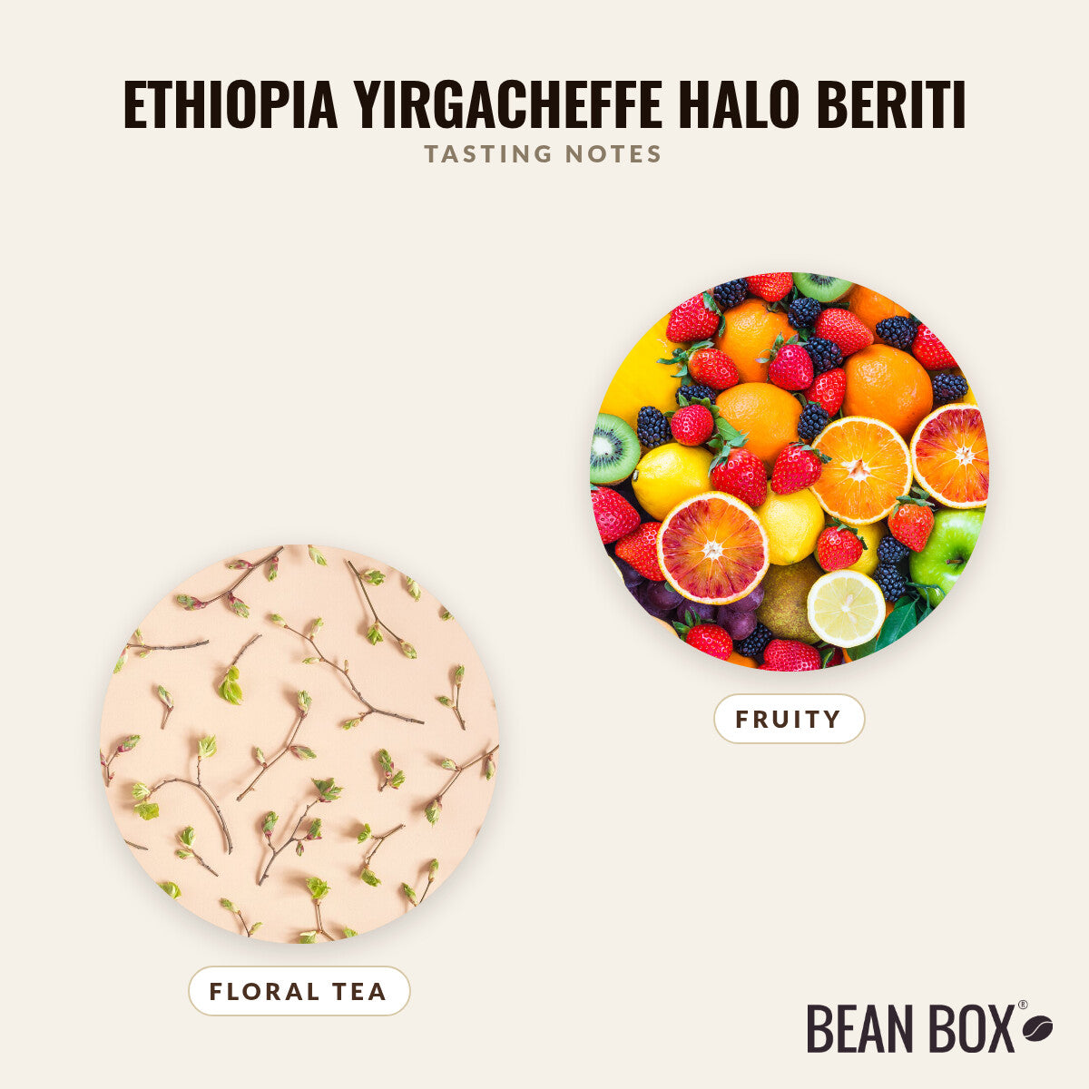 Ethiopia Yirgacheffe Halo Beriti