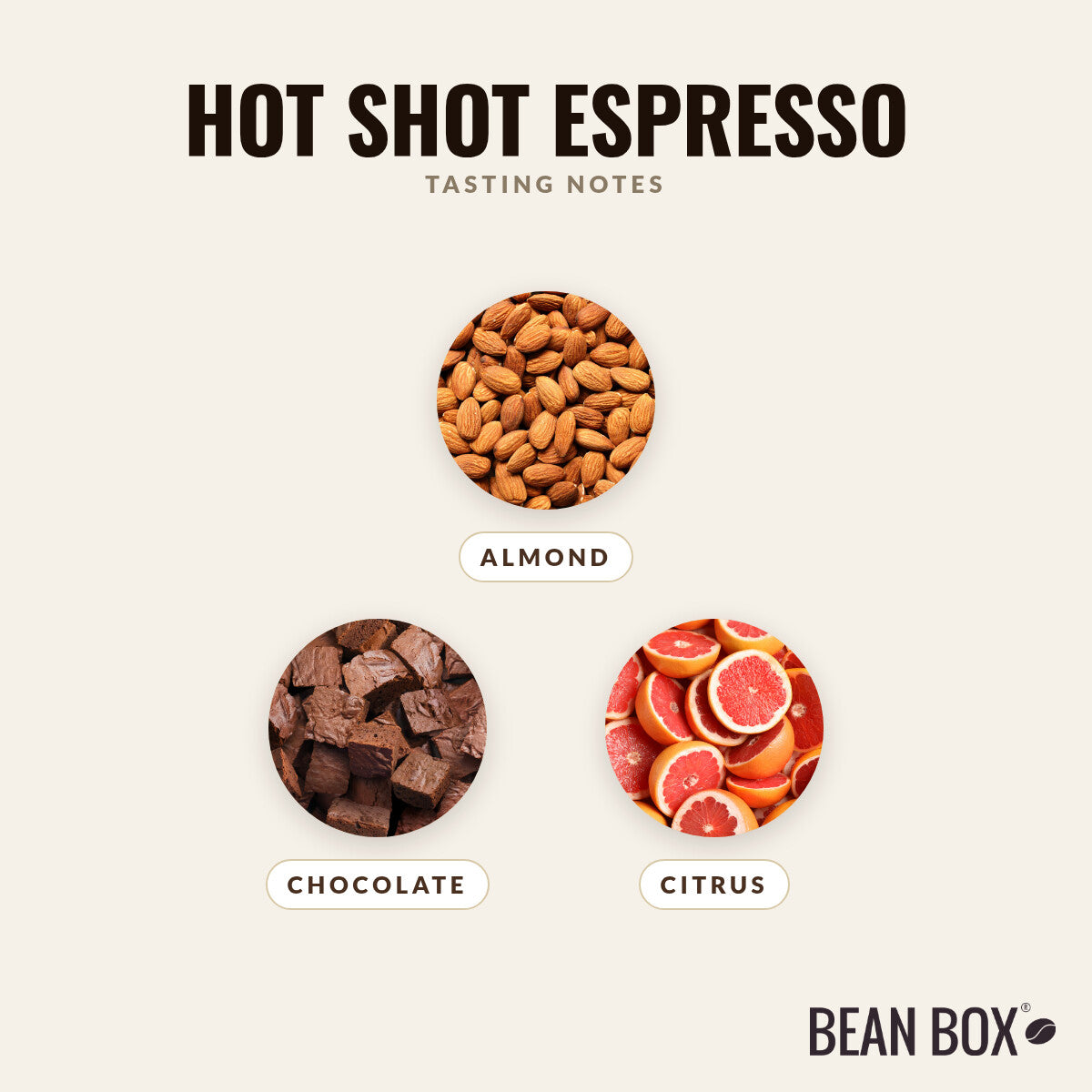 Hot Shot Espresso